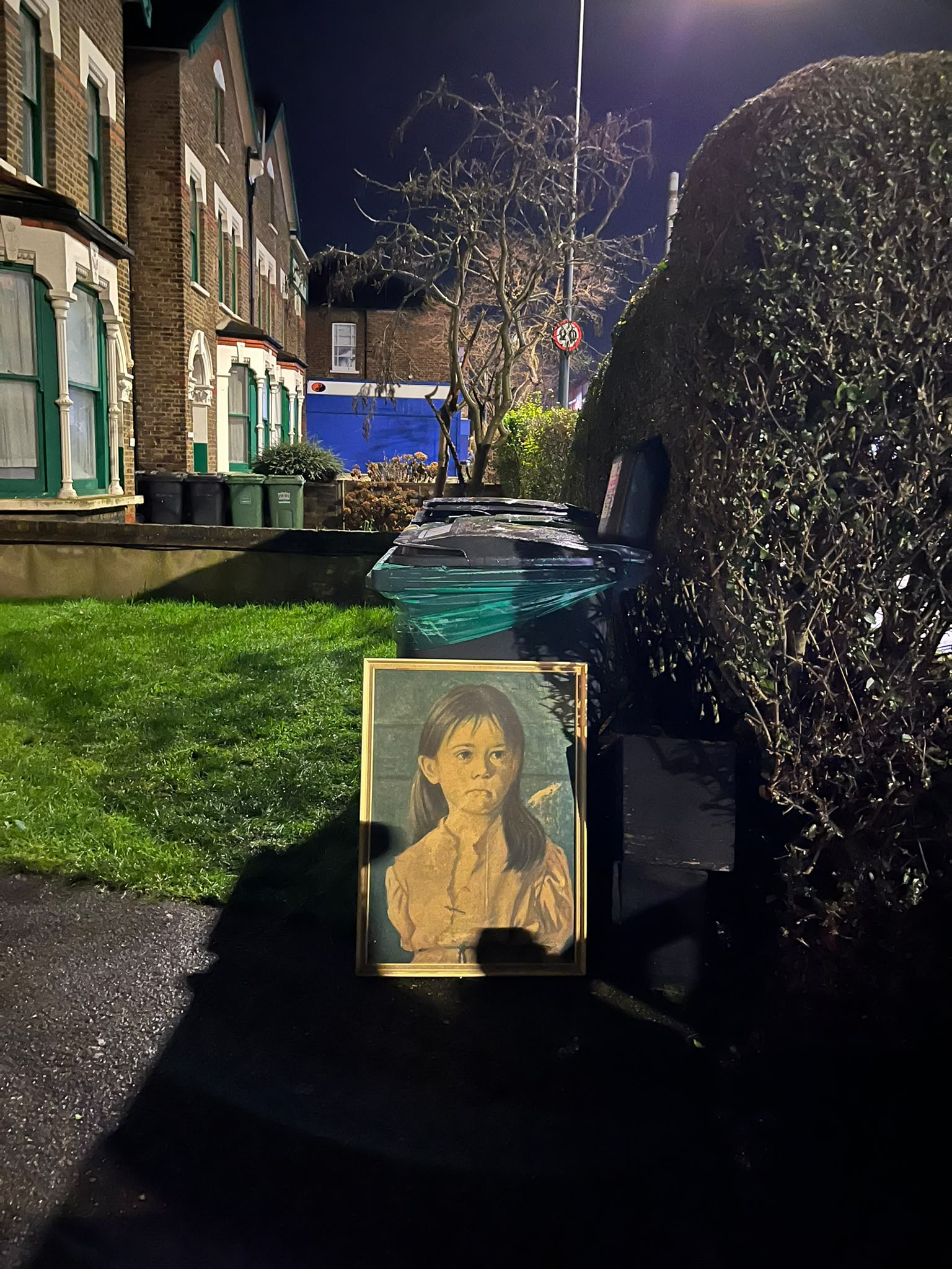 A framed portrait on a residential street at night